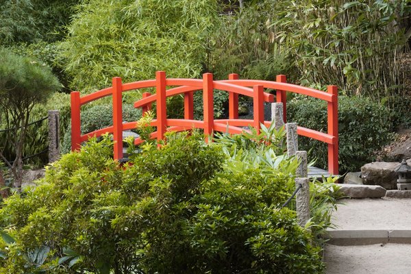 Quelles méthodes pour réduire la consommation de viande et adopter un régime plus végétarien ?